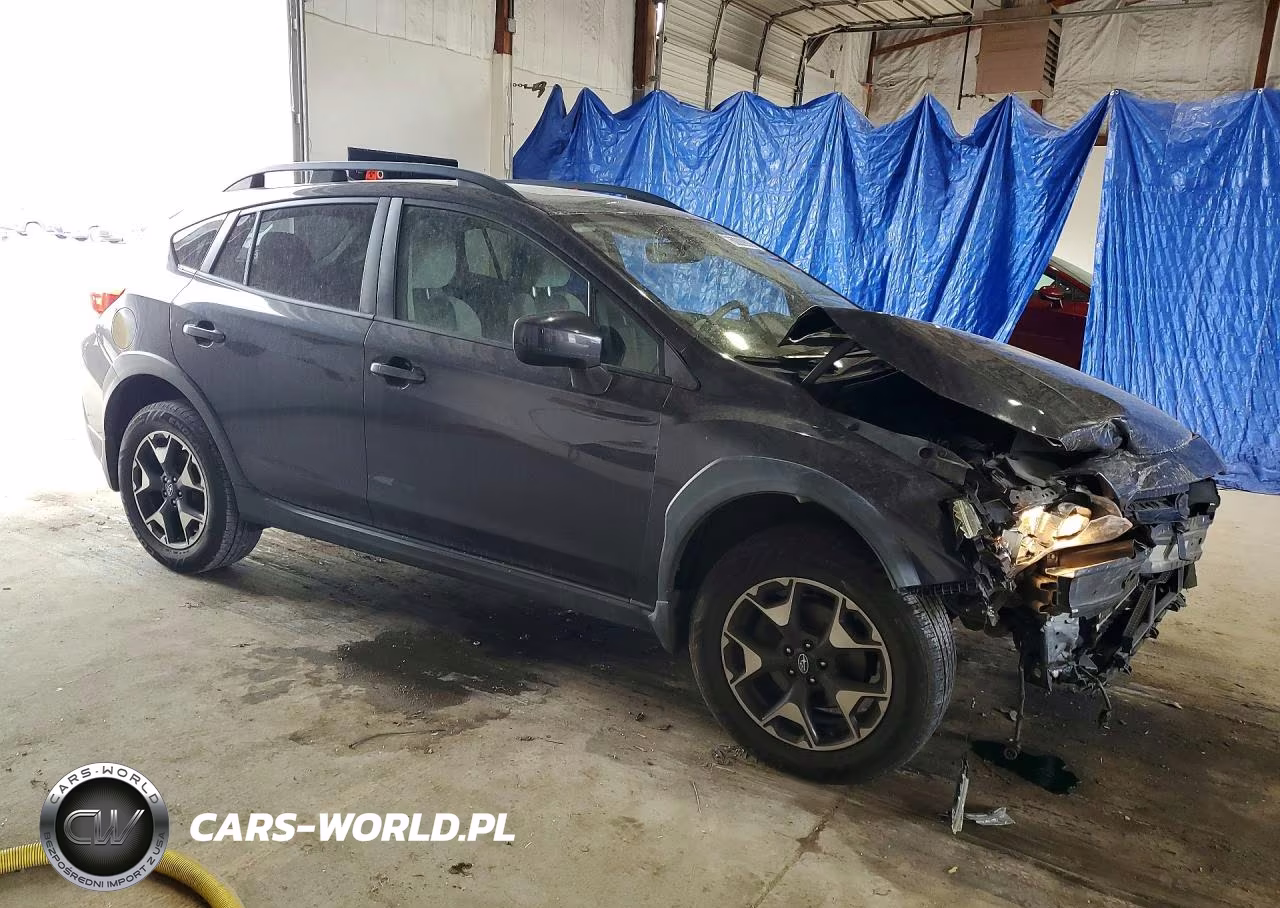2019 Subaru Crosstrek Premium VIN:JF2GTADC6K8209541 - 4