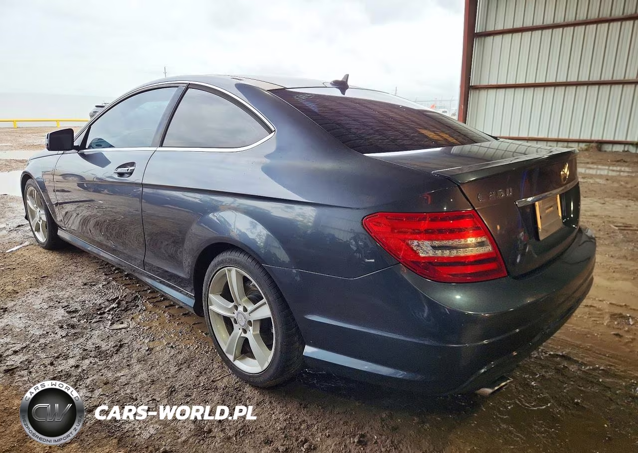 2013 Mercedes-Benz C 250 VIN:WDDGJ4HB7DG053015 - 2