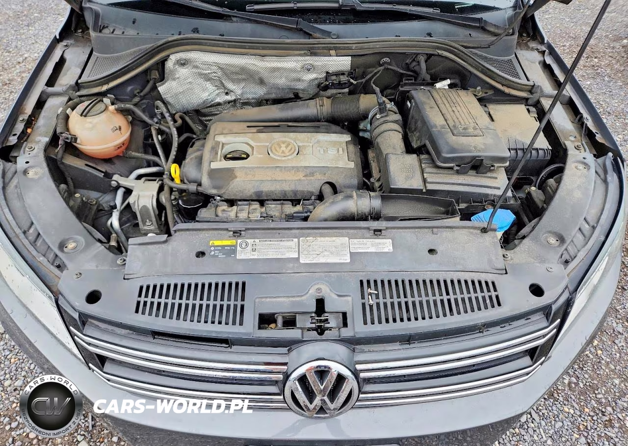 2016 Volkswagen Tiguan S VIN:WVGAV7AX3GW031286 - 11