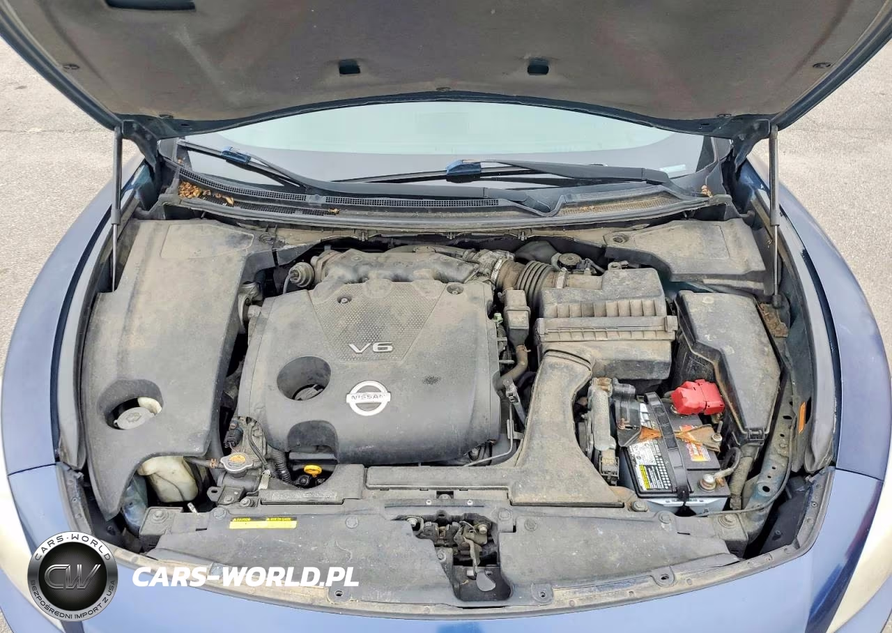 2009 Nissan Maxima 3.5 S VIN:1N4AA51E29C851386 - 11