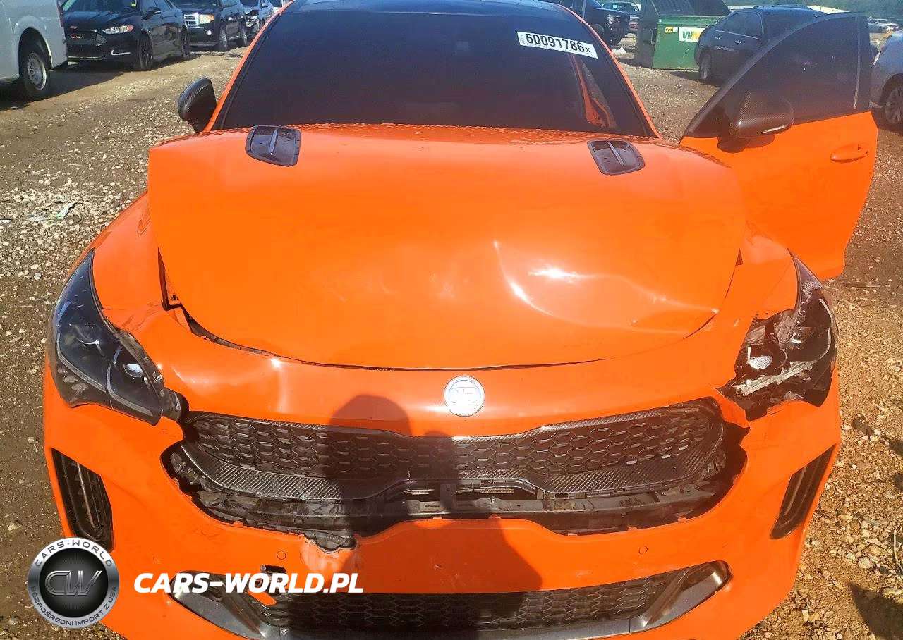 2019 Kia Stinger Gt VIN:KNAE35LC5K6068615 - 11