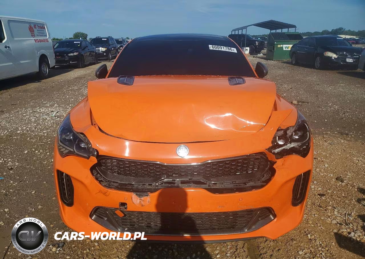 2019 Kia Stinger Gt VIN:KNAE35LC5K6068615 - 5