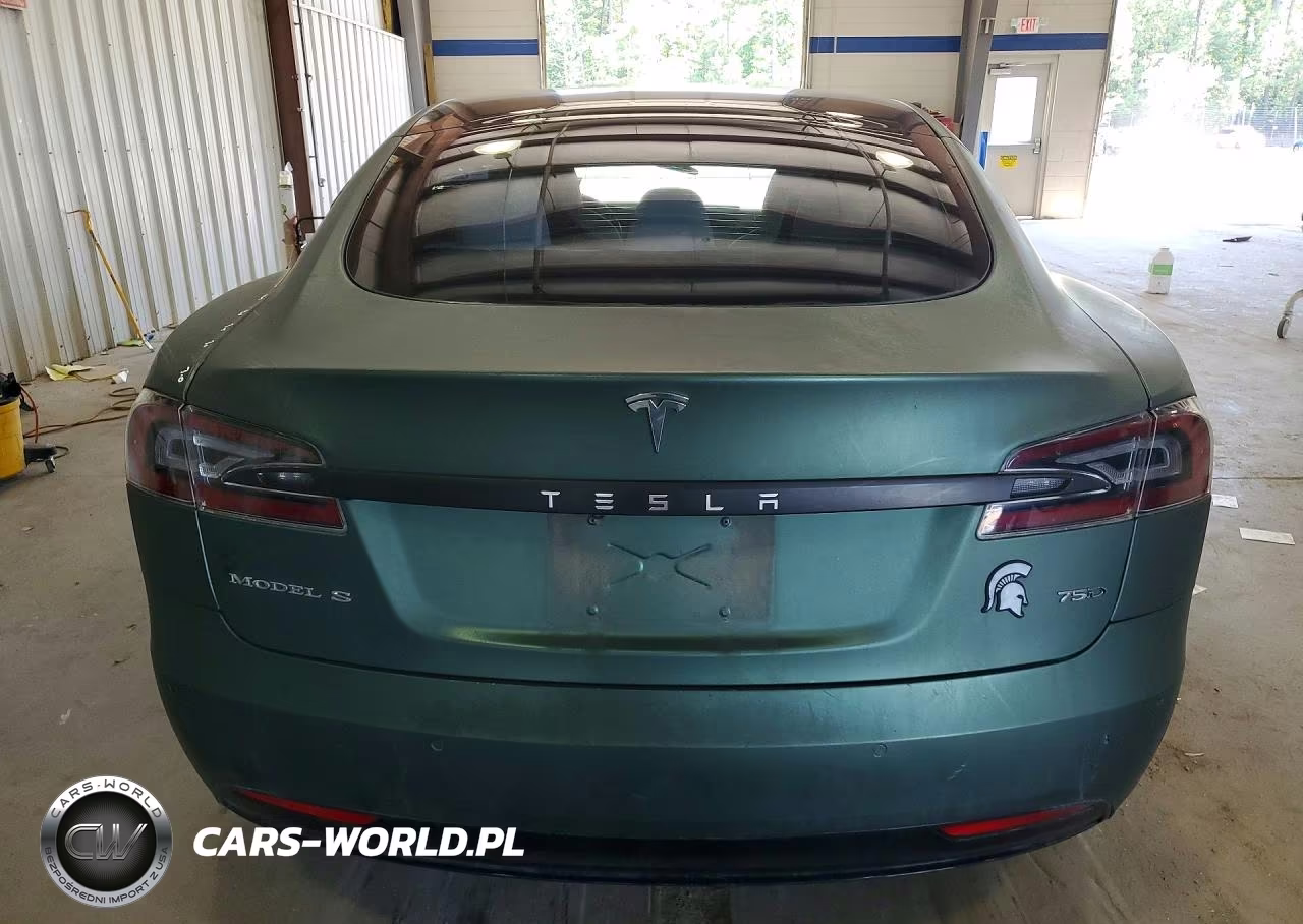 2018 Tesla Model S VIN:5YJSA1E29JF243816 - 6