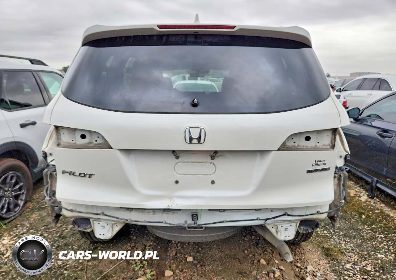 2019 Honda Pilot Touring VIN:5FNYF5H61KB019877 - 6