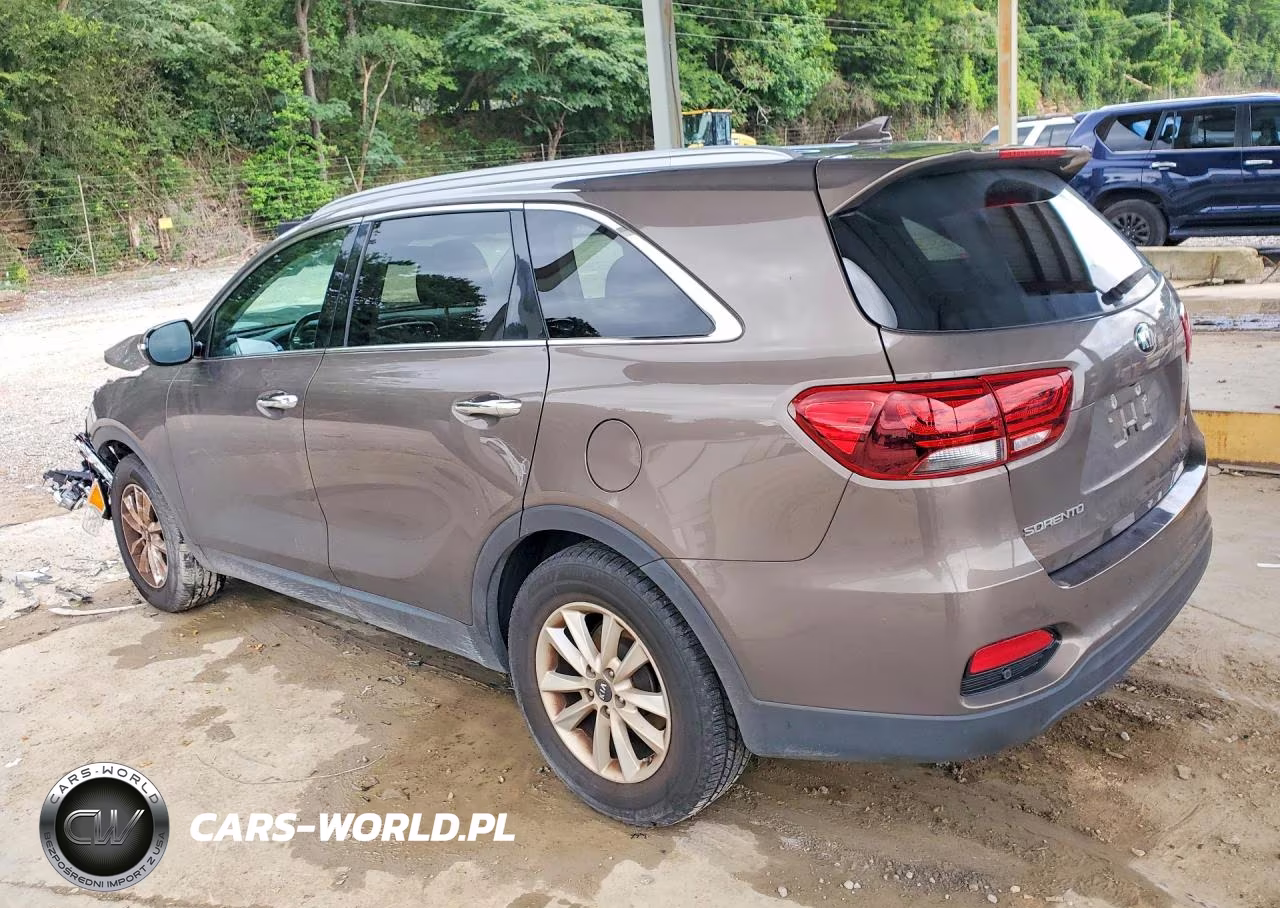 2019 Kia Sorento Lx VIN:5XYPG4A38KG436053 - 2