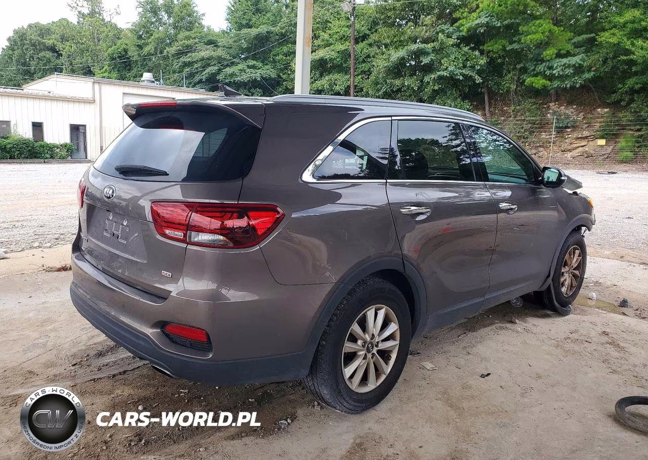 2019 Kia Sorento Lx VIN:5XYPG4A38KG436053 - 3