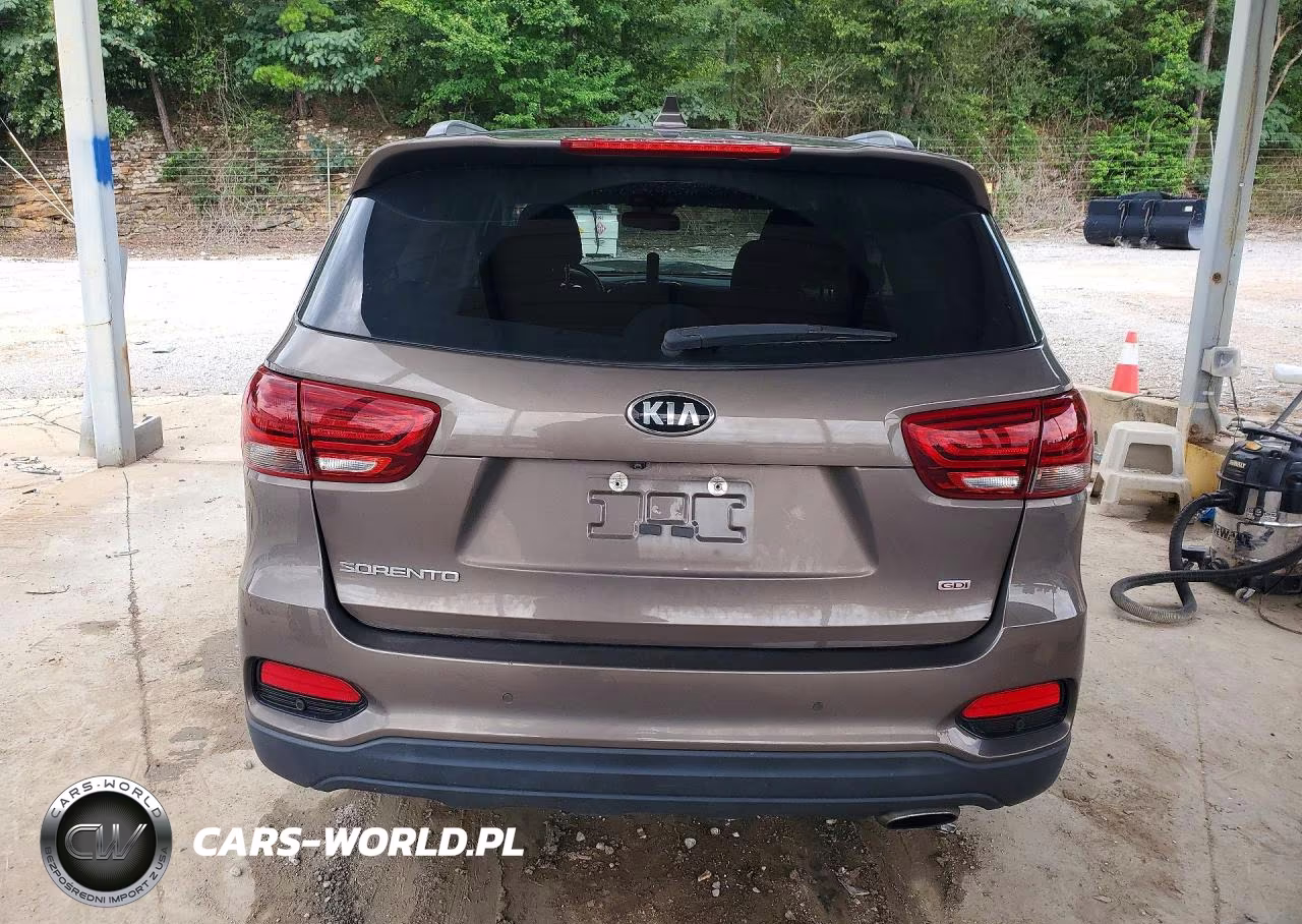 2019 Kia Sorento Lx VIN:5XYPG4A38KG436053 - 6