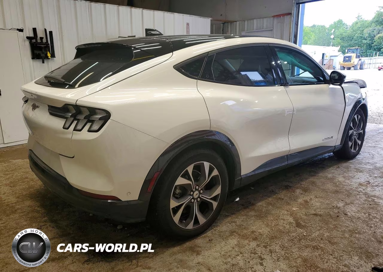 2023 Ford Mustang Mach-E Premium VIN:3FMTK3SUXPMA63876 - 3