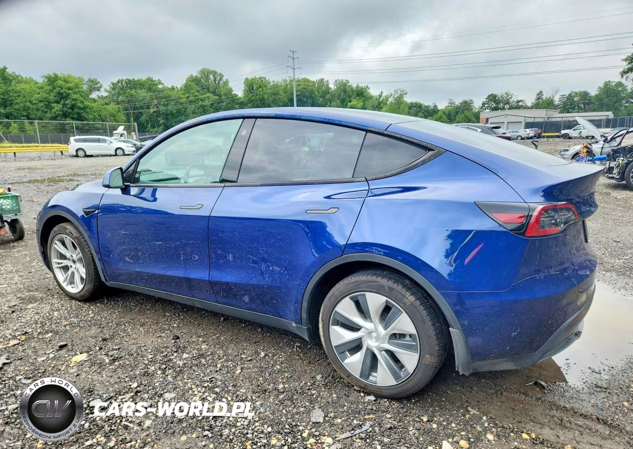 2021 Tesla Model Y VIN:5YJYGDEE3MF303680 - 2