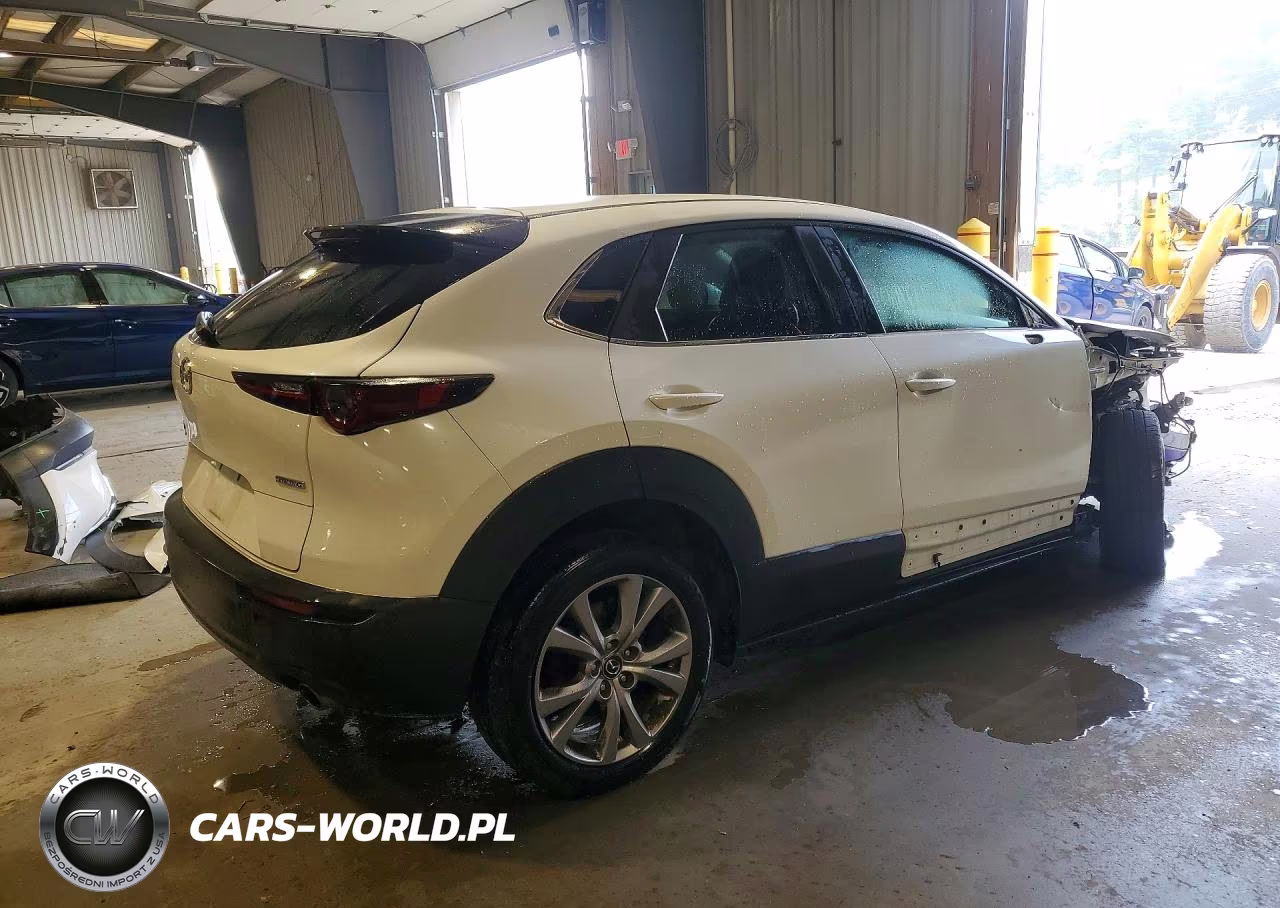 2021 Mazda Cx-30 Select VIN:3MVDMBBL2MM210772 - 3