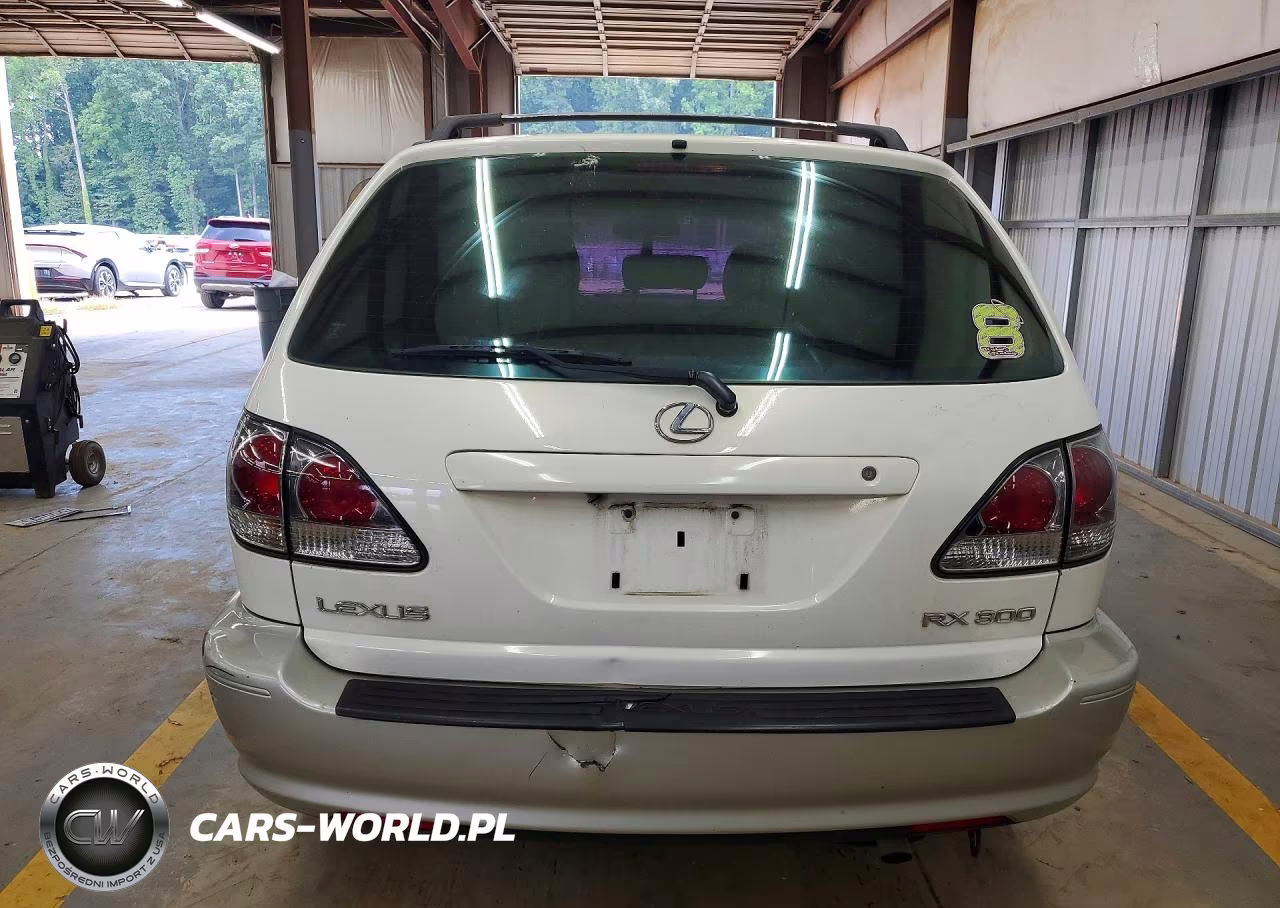 2001 Lexus Rx 300 VIN:JTJGF10UX10085692 - 6