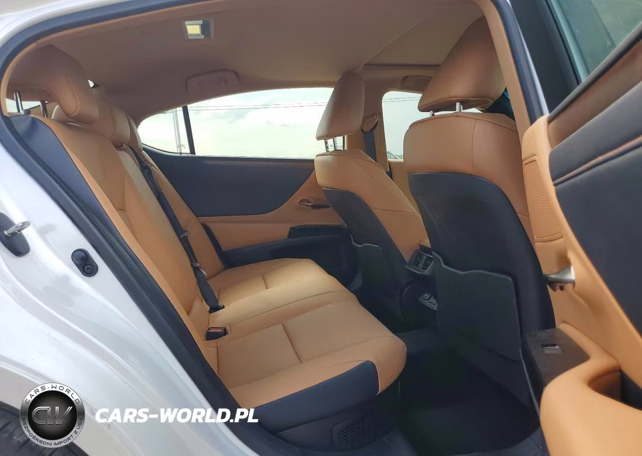 2025 Lexus Es 300H Base VIN:58ADA1C16SU056789 - 10