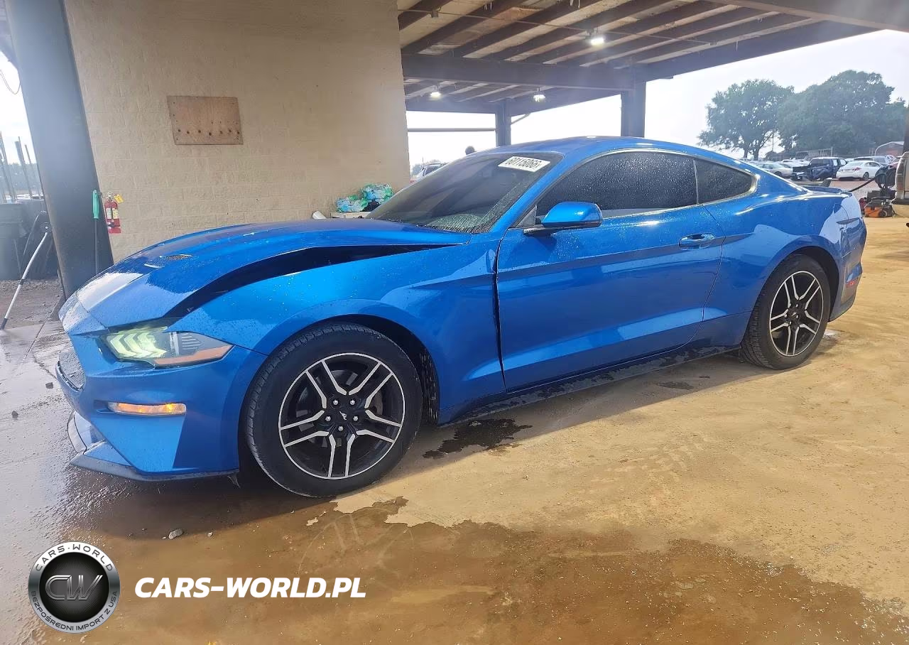 2019 Ford Mustang