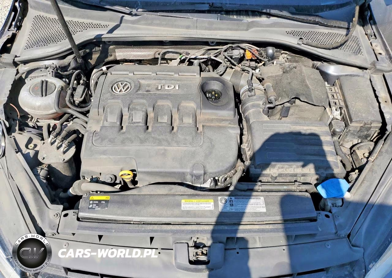 2015 Volkswagen Golf Tdi VIN:3VW2A7AU8FM012948 - 11
