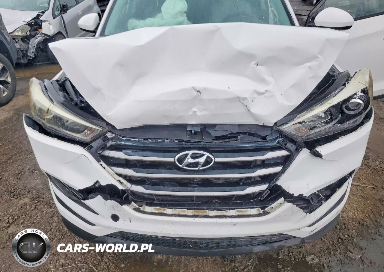 2018 Hyundai Tucson Sel VIN:KM8J33A43JU656102 - 12