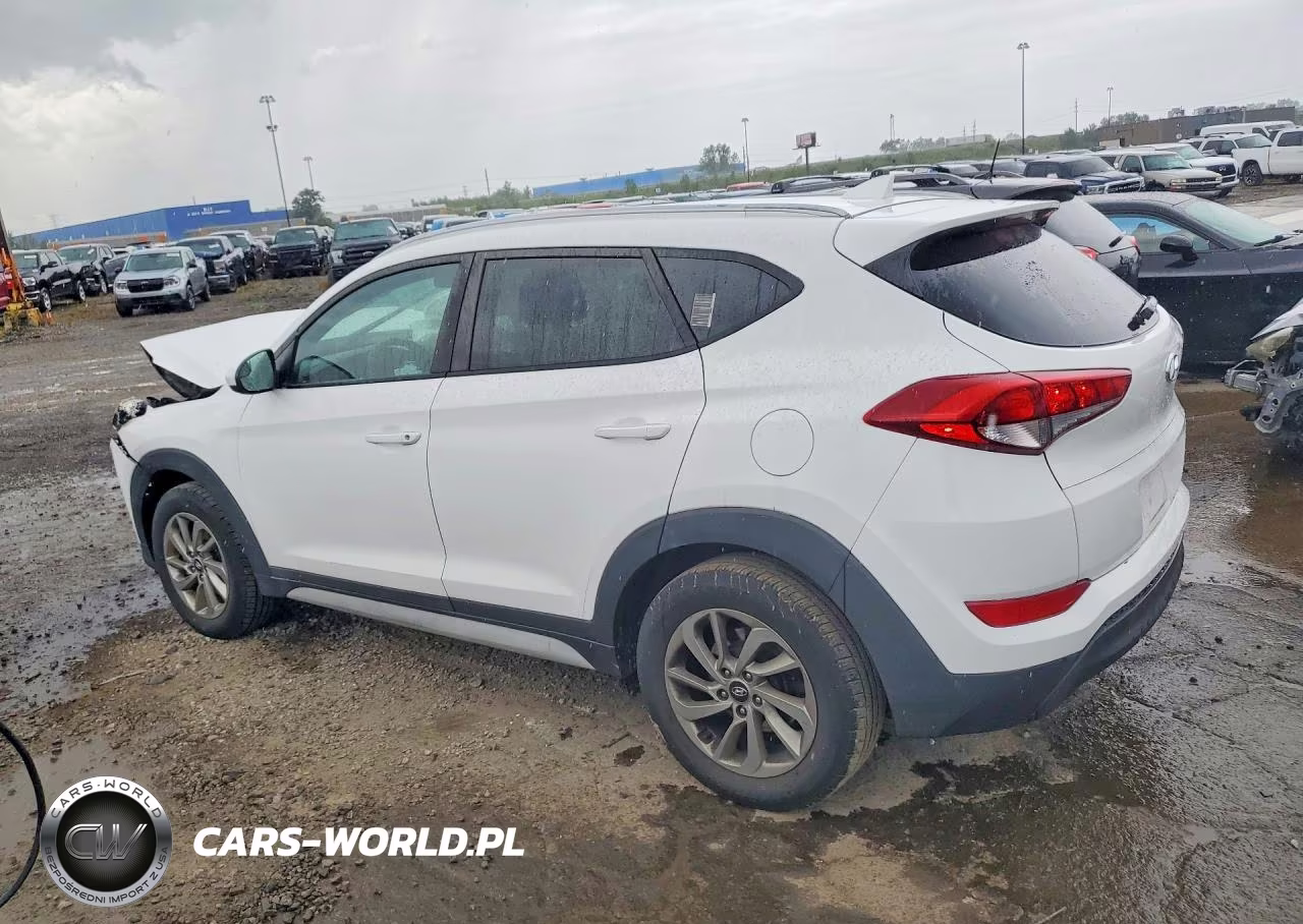 2018 Hyundai Tucson Sel VIN:KM8J33A43JU656102 - 2