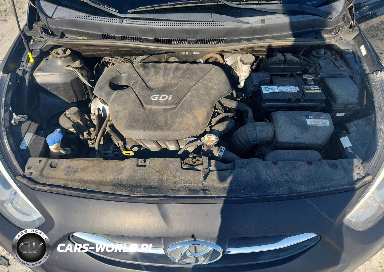 2016 Hyundai Accent Se VIN:KMHCT4AE8GU003927 - 11