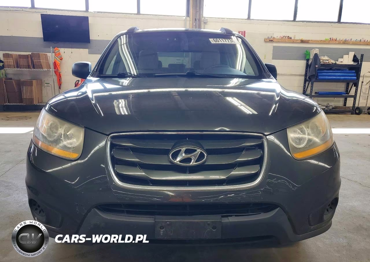 2010 Hyundai Santa Fe Gls VIN:5NMSGDAB8AH384574 - 5