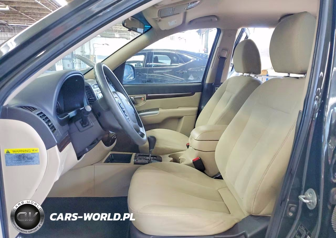 2010 Hyundai Santa Fe Gls VIN:5NMSGDAB8AH384574 - 7