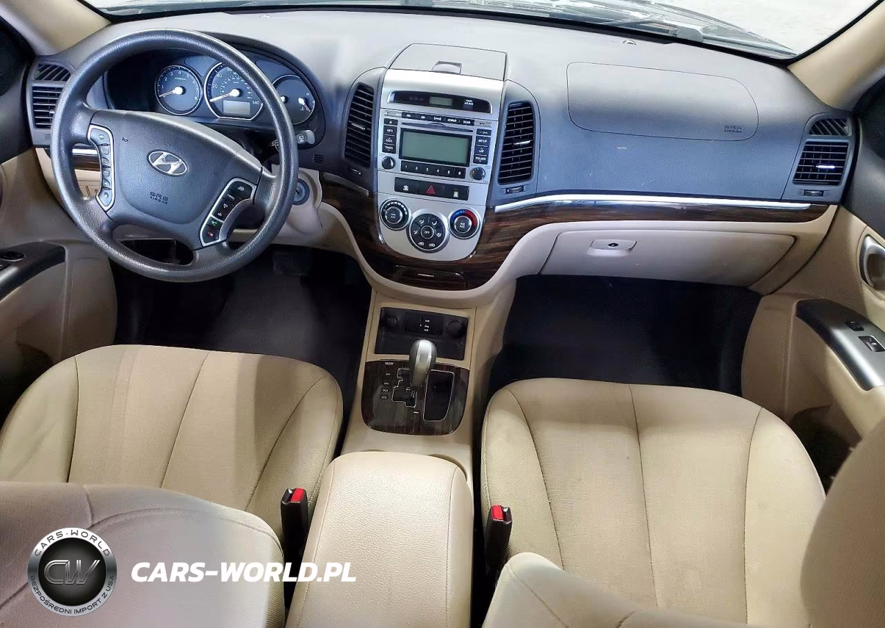 2010 Hyundai Santa Fe Gls VIN:5NMSGDAB8AH384574 - 8