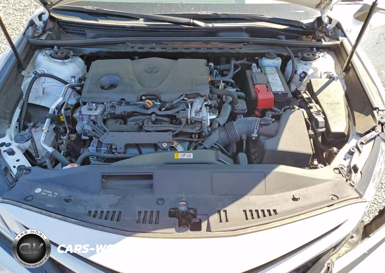 2020 Toyota Camry Se VIN:4T1M11AK1LU920703 - 11