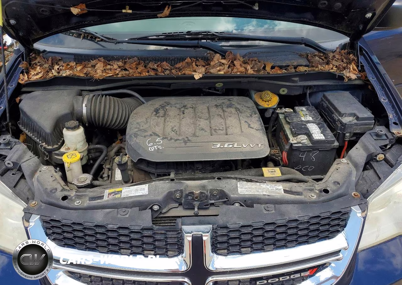 2013 Dodge Grand Caravan Se VIN:2C4RDGBG6DR753980 - 12