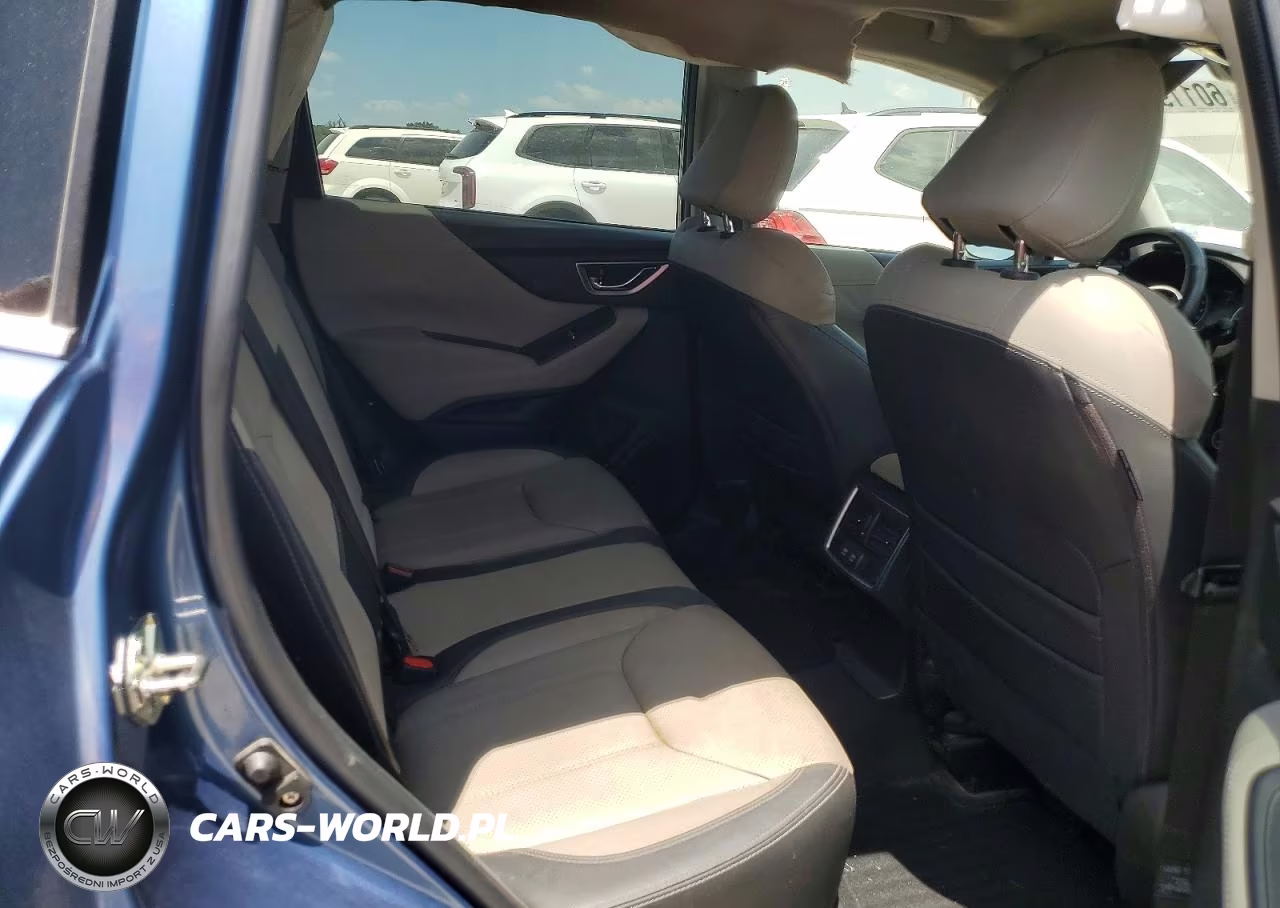 2019 Subaru Forester Limited VIN:JF2SKAUC6KH518763 - 10