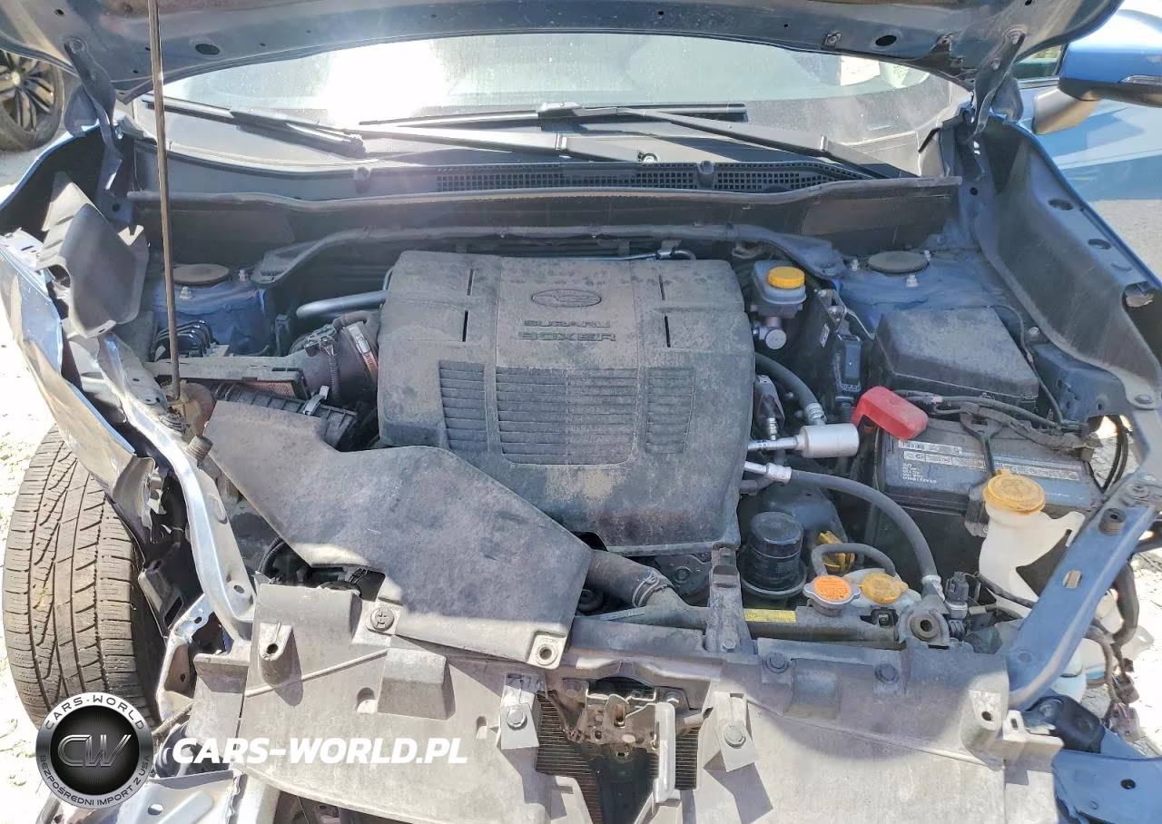 2019 Subaru Forester Limited VIN:JF2SKAUC6KH518763 - 11