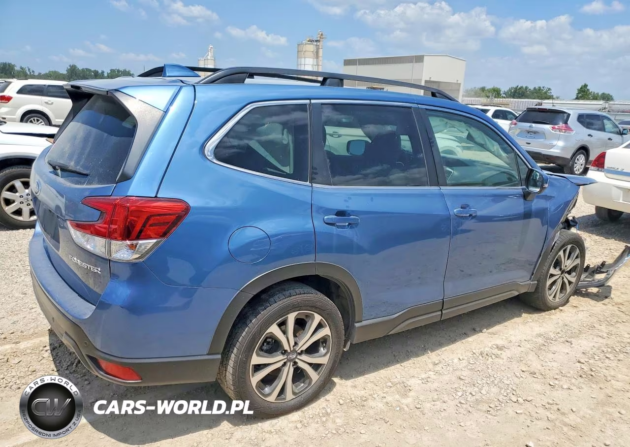 2019 Subaru Forester Limited VIN:JF2SKAUC6KH518763 - 3