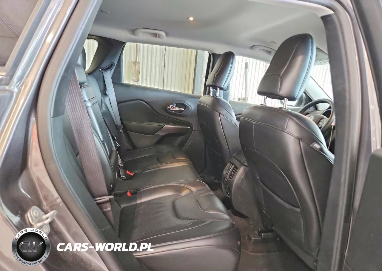 2019 Jeep Cherokee Limited 4X4 VIN:1C4PJMDN1KD207615 - 11