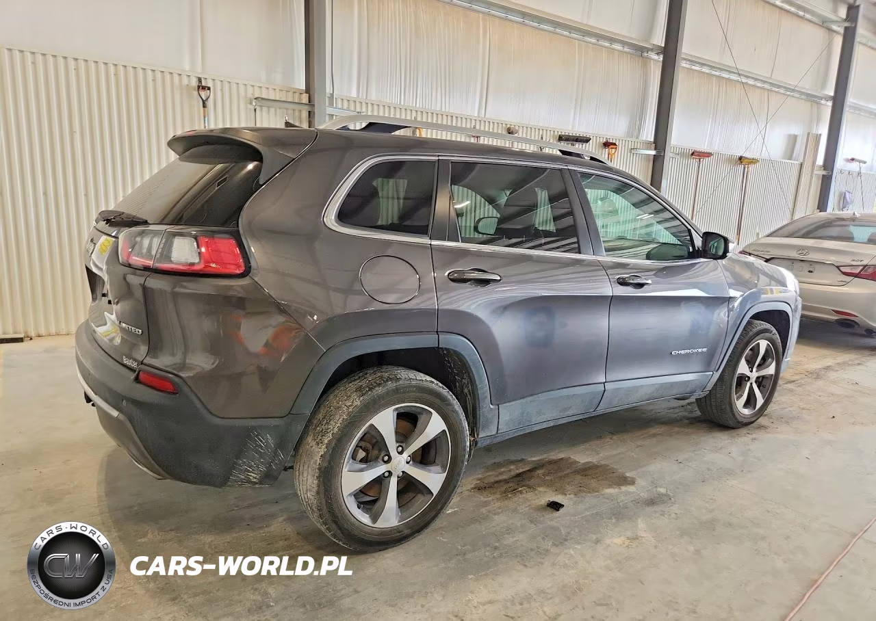 2019 Jeep Cherokee Limited 4X4 VIN:1C4PJMDN1KD207615 - 3