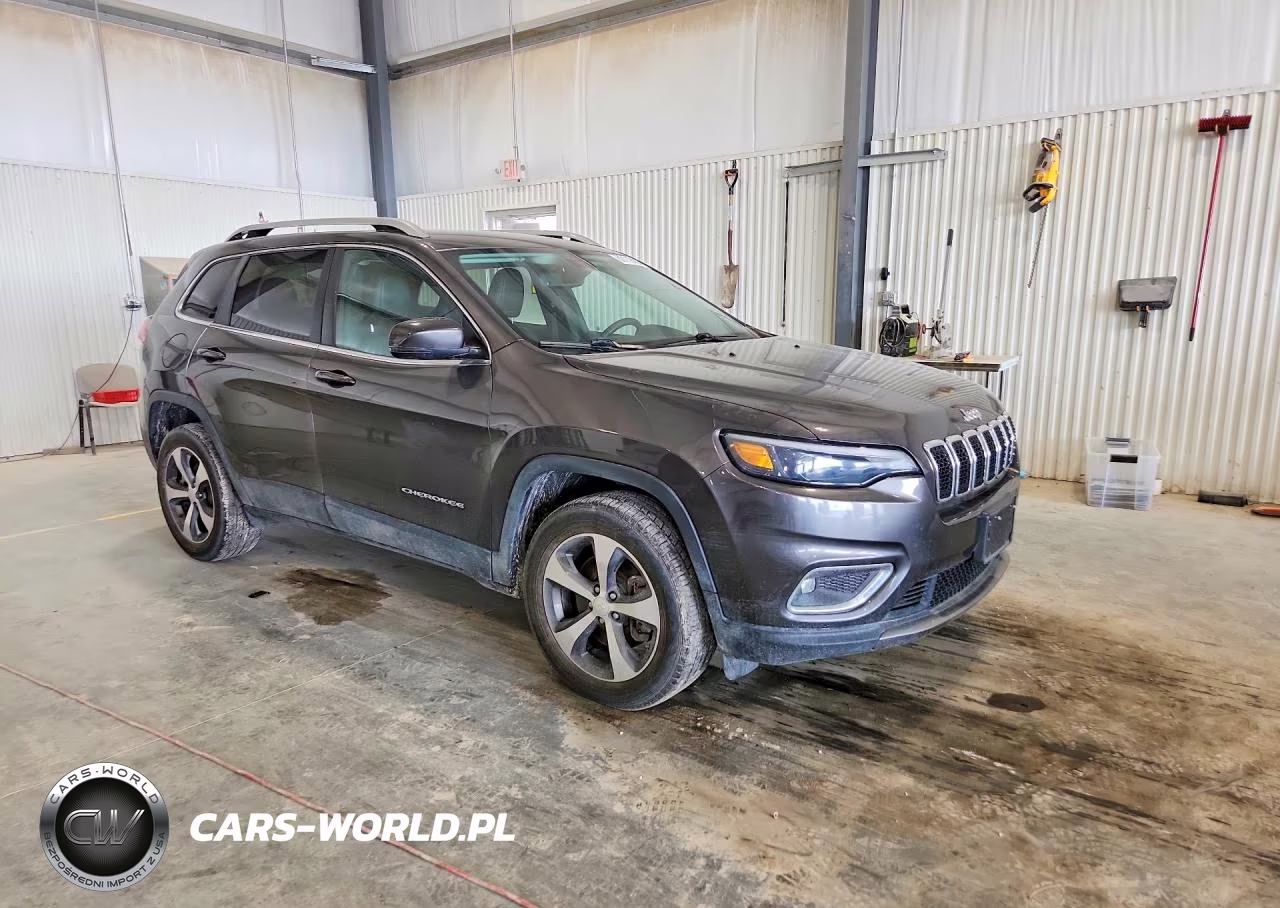 2019 Jeep Cherokee Limited 4X4 VIN:1C4PJMDN1KD207615 - 4
