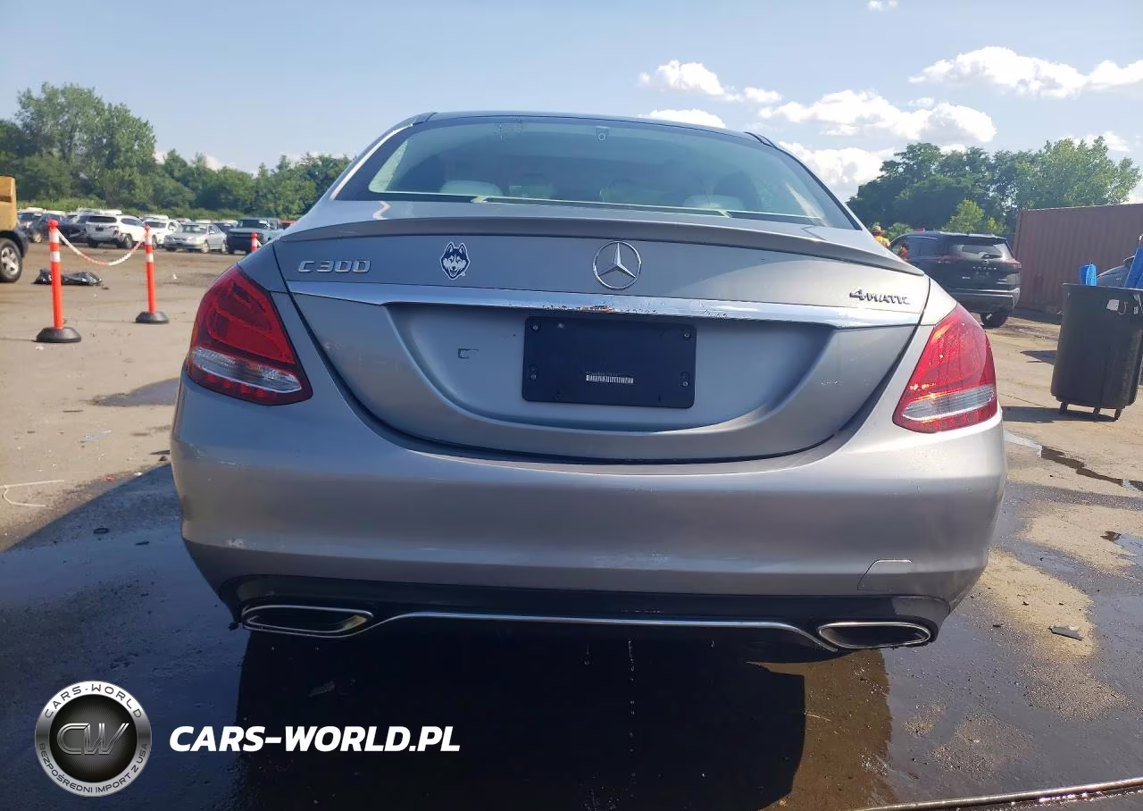 2016 Mercedes-Benz C 300 4Matic VIN:55SWF4KB5GU118215 - 6