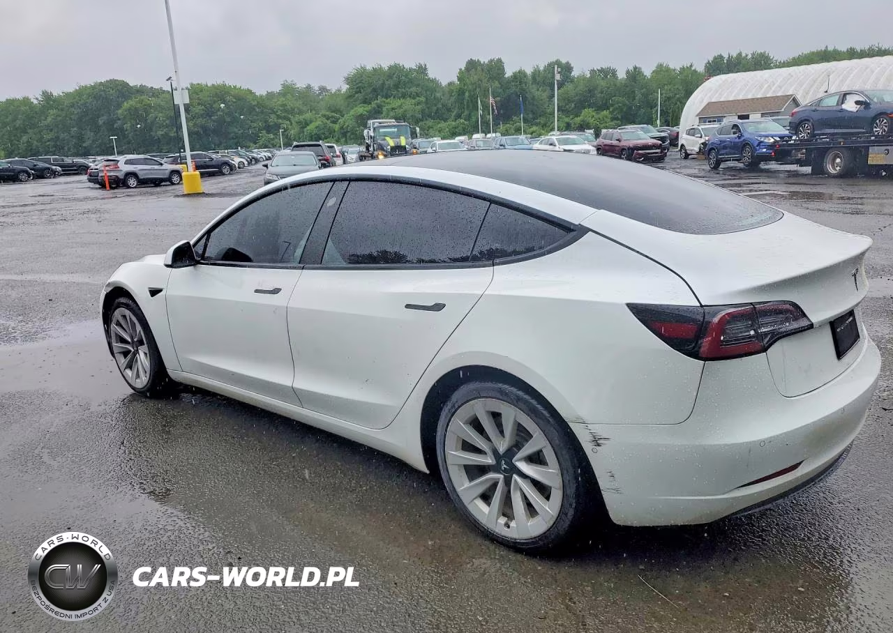 2022 Tesla Model 3 VIN:5YJ3E1EA3NF371152 - 2