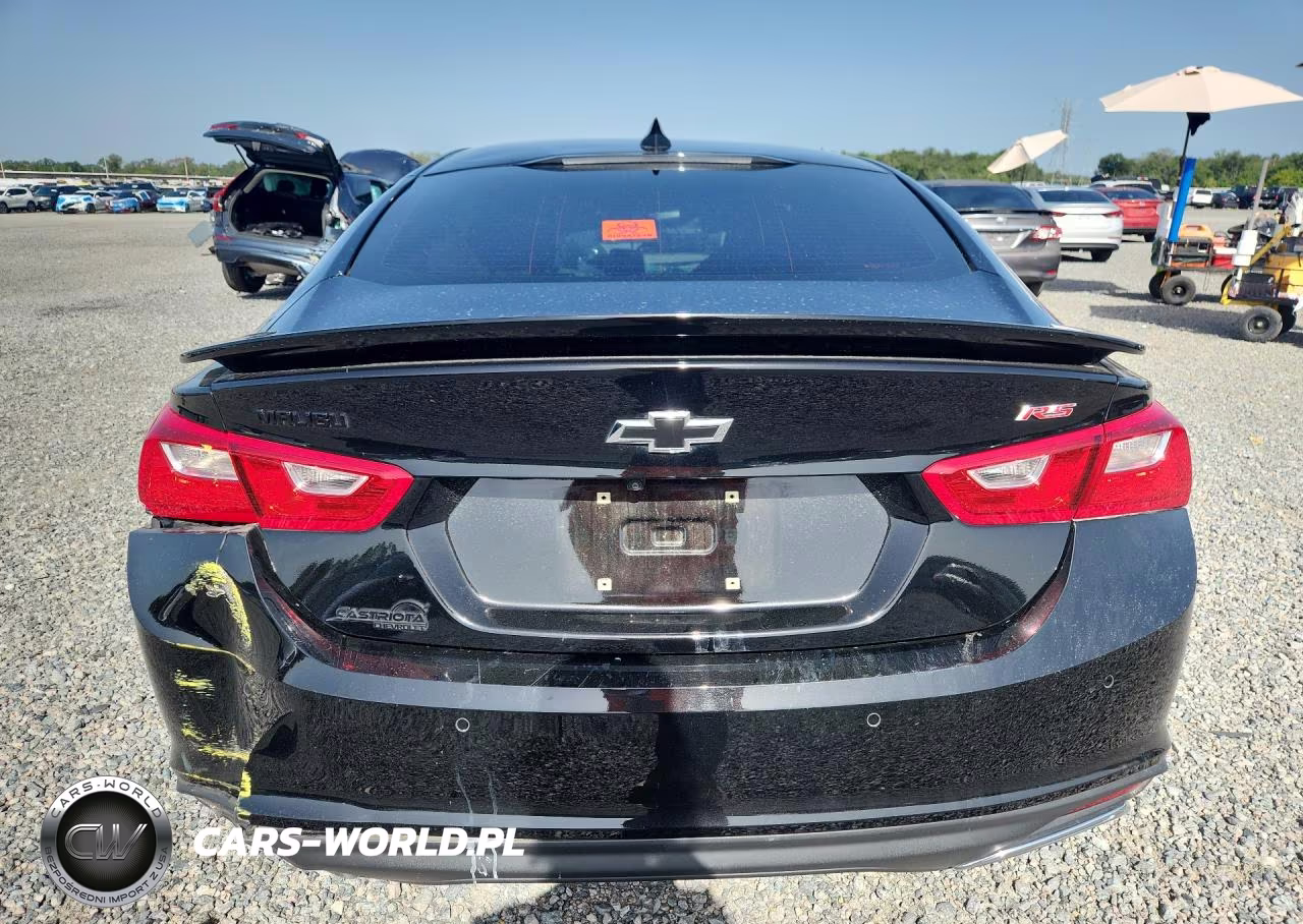 2024 Chevrolet Malibu VIN:1G1ZG5ST1RF239888 - 6