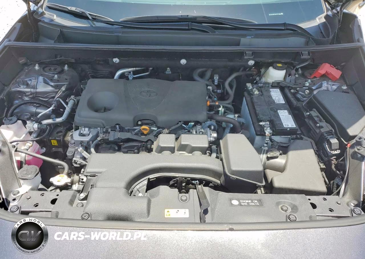 2025 Toyota Rav4 Xle VIN:2T3W1RFV8SC334033 - 11
