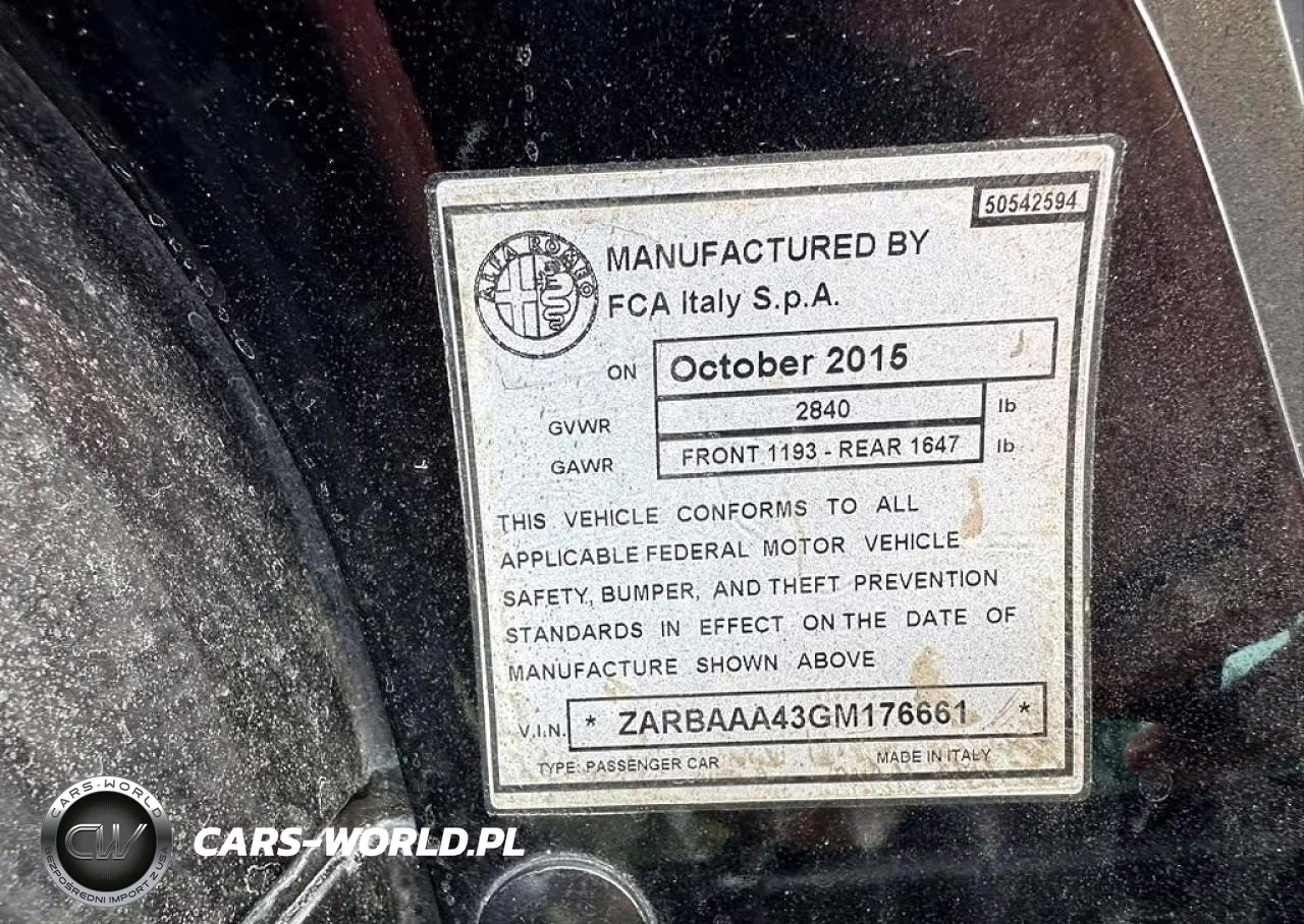 2016 Alfa Romeo 4C VIN:ZARBAAA43GM176661 - 10