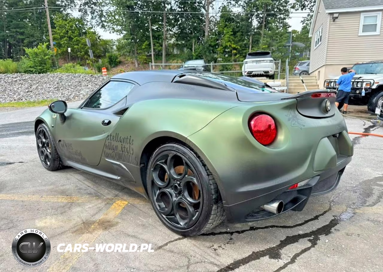 2016 Alfa Romeo 4C VIN:ZARBAAA43GM176661 - 2
