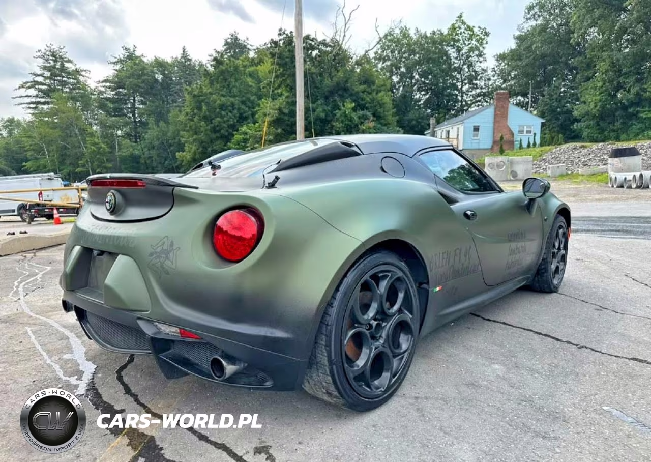 2016 Alfa Romeo 4C VIN:ZARBAAA43GM176661 - 3