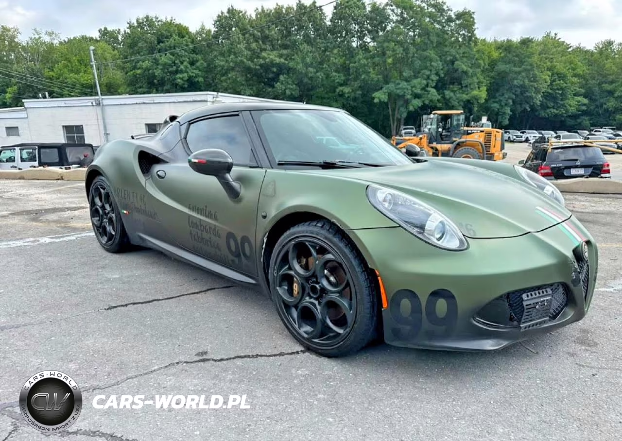 2016 Alfa Romeo 4C VIN:ZARBAAA43GM176661 - 4
