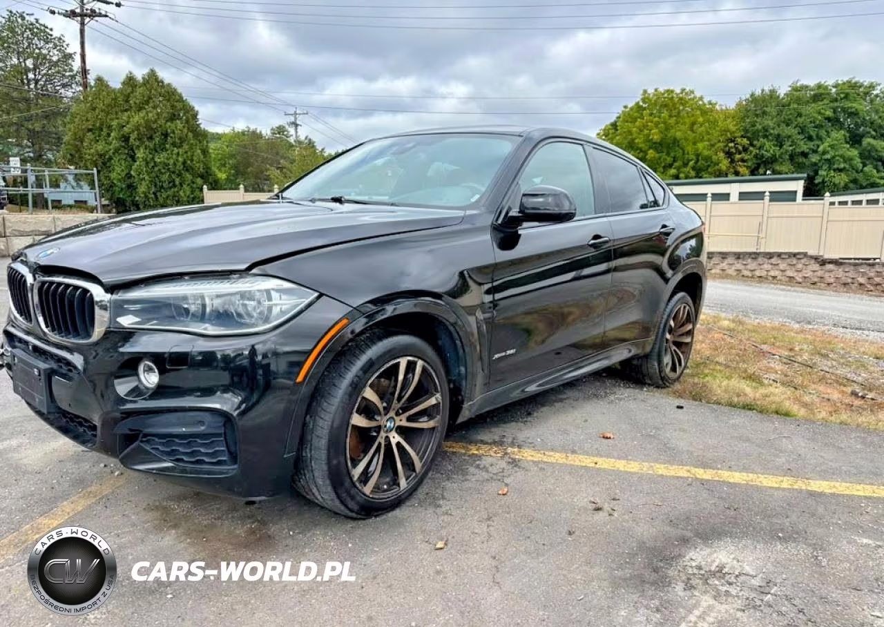2016 BMW X6 xDrive35I VIN:5UXKU2C52G0N79436 - 1