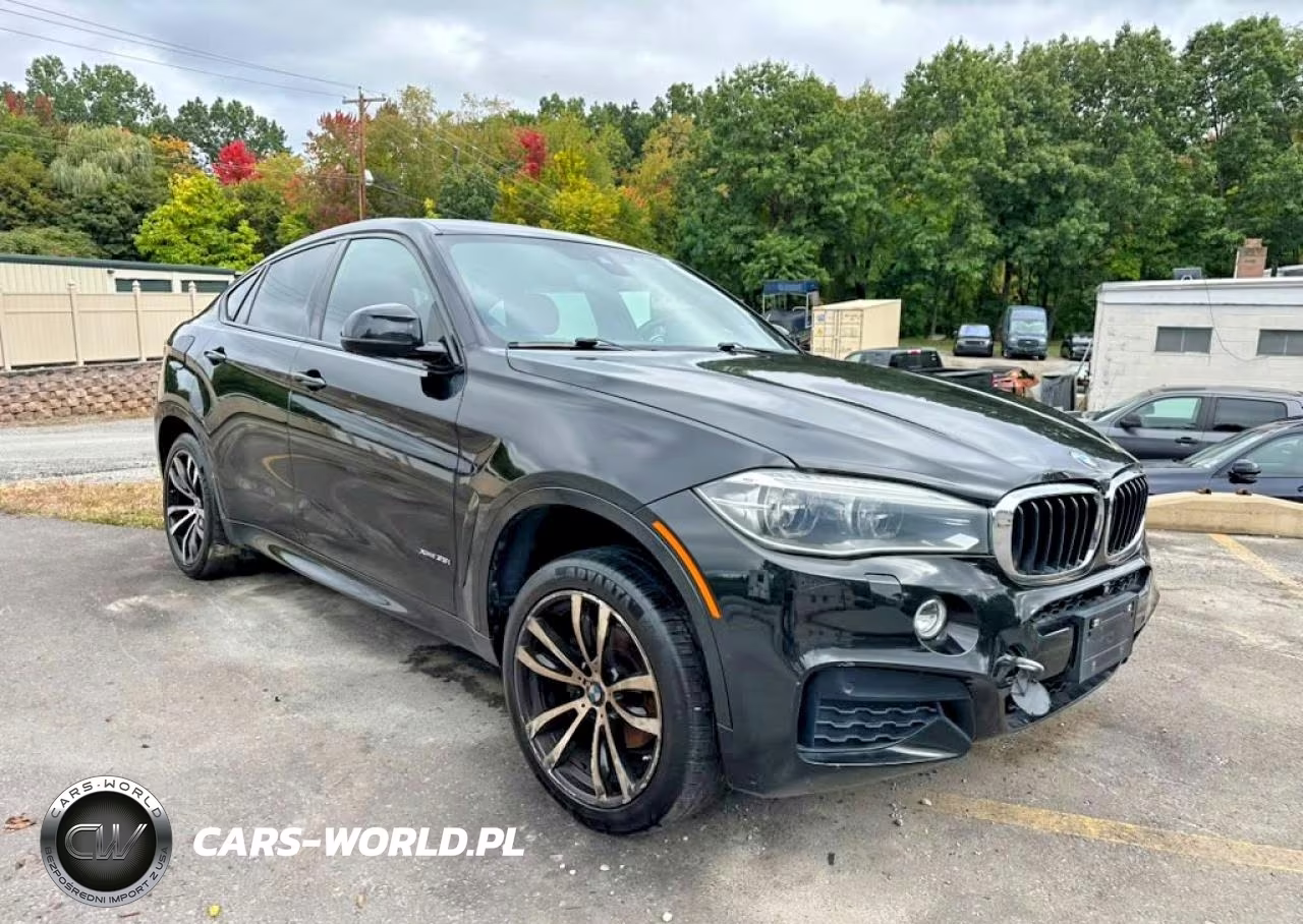 2016 BMW X6 xDrive35I VIN:5UXKU2C52G0N79436 - 4