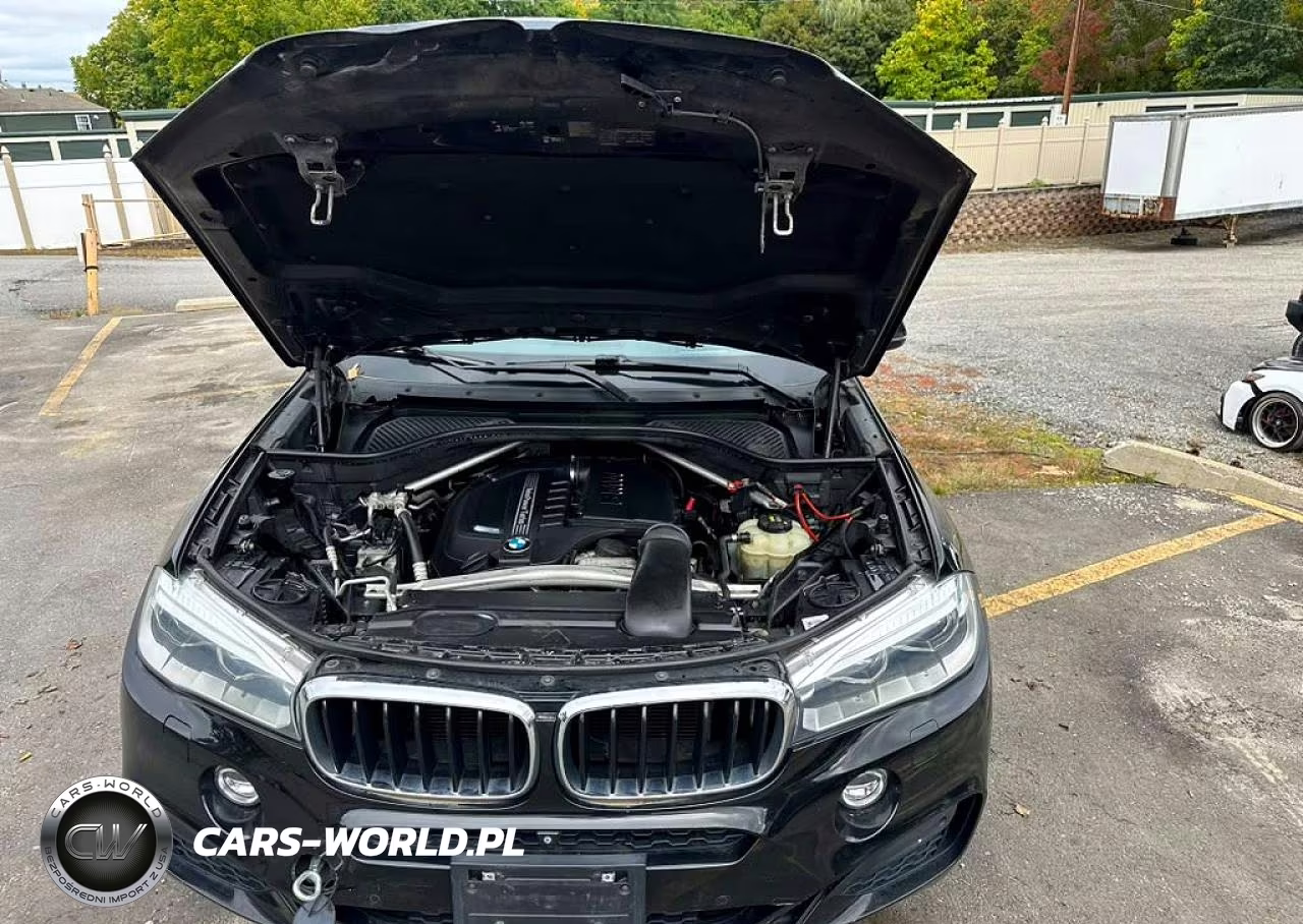 2016 BMW X6 xDrive35I VIN:5UXKU2C52G0N79436 - 5