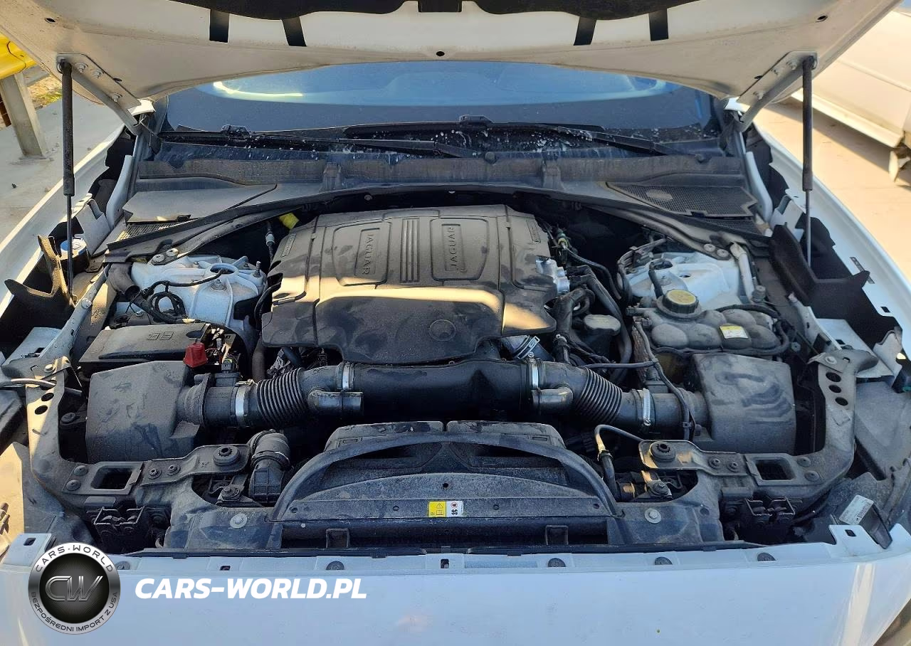2020 Jaguar F-Pace S VIN:SADCM2FV3LA641324 - 12