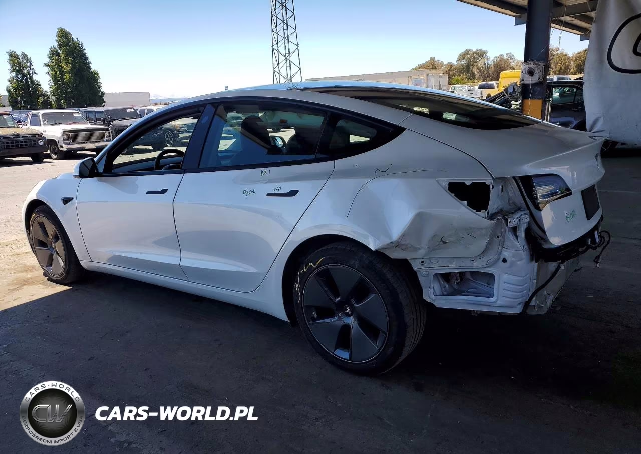 2023 Tesla Model 3 VIN:5YJ3E1EA7PF541256 - 2