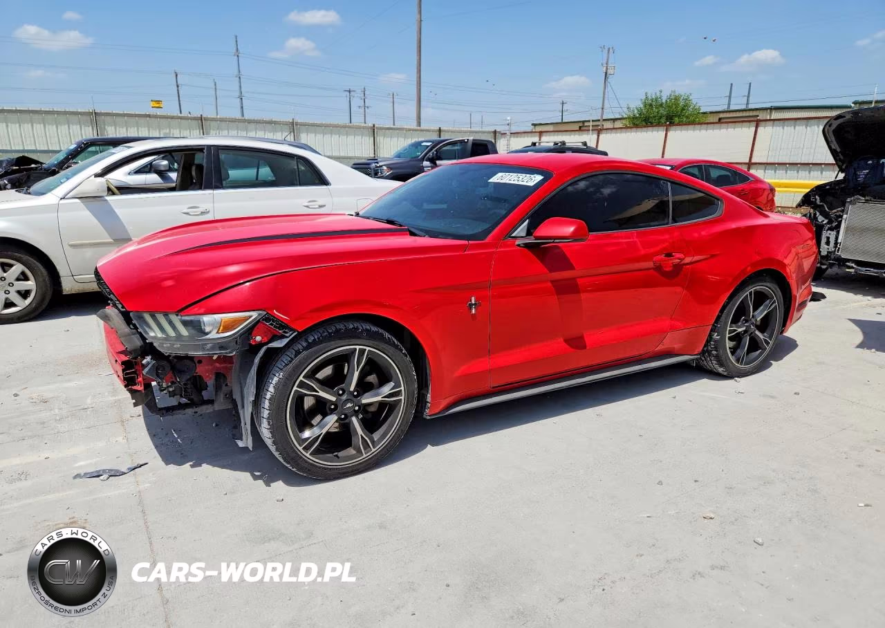 2015 Ford Mustang – zdjęcie 1 z 13