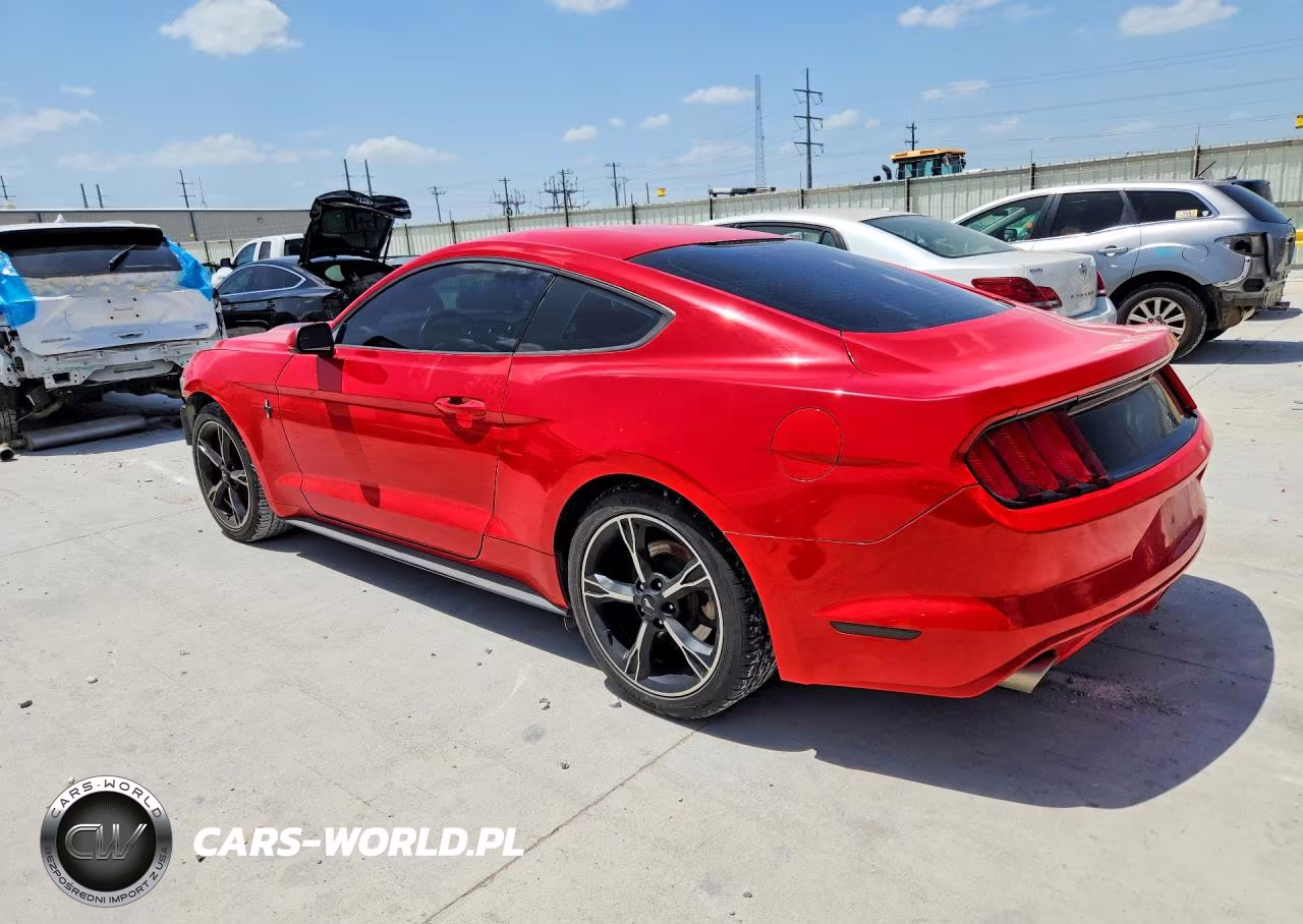 2015 Ford Mustang VIN:1FA6P8AM9F5419519 - 2