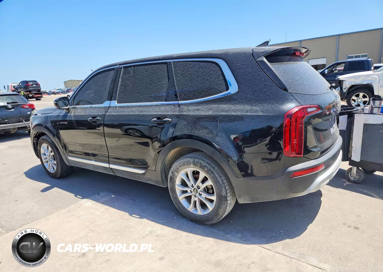 2020 Kia Telluride Lx VIN:5XYP24HC7LG009663 - 2