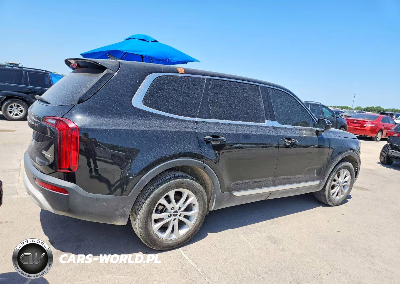 2020 Kia Telluride Lx VIN:5XYP24HC7LG009663 - 3