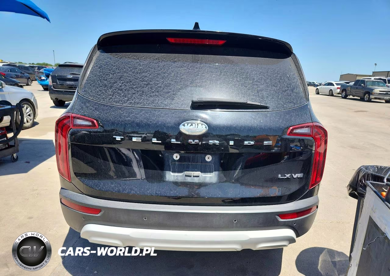 2020 Kia Telluride Lx VIN:5XYP24HC7LG009663 - 6